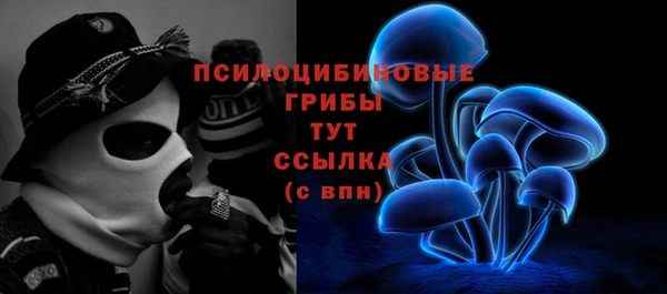 прущая мука Абаза
