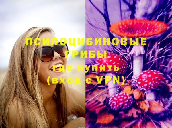 прущая мука Абаза